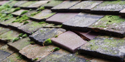 Maresfield roof repair costs